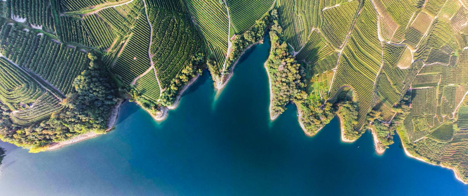 lago di Santa Giustina (3)